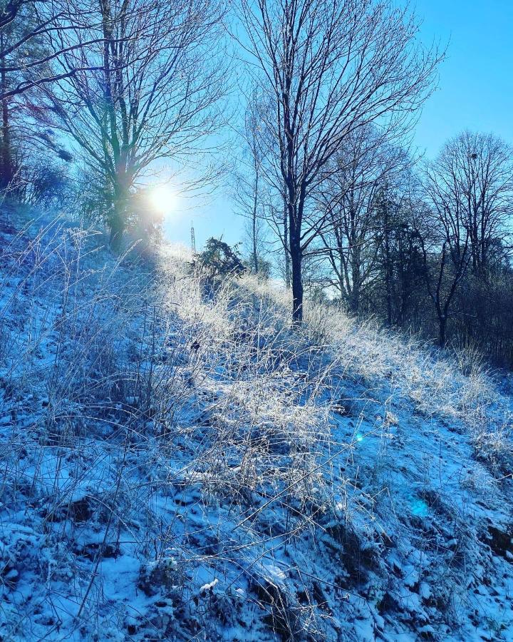 Appartamento Gasthof Zur Sagemuhle Hiltpoltstein Esterno foto