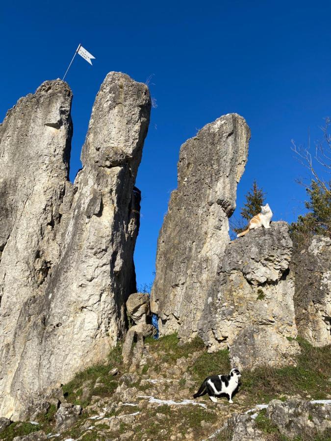 Appartamento Gasthof Zur Saegemuehle Hiltpoltstein Esterno foto