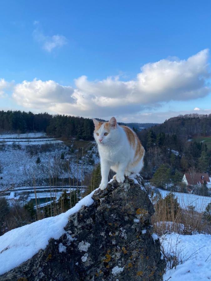 Appartamento Gasthof Zur Sagemuhle Hiltpoltstein Esterno foto