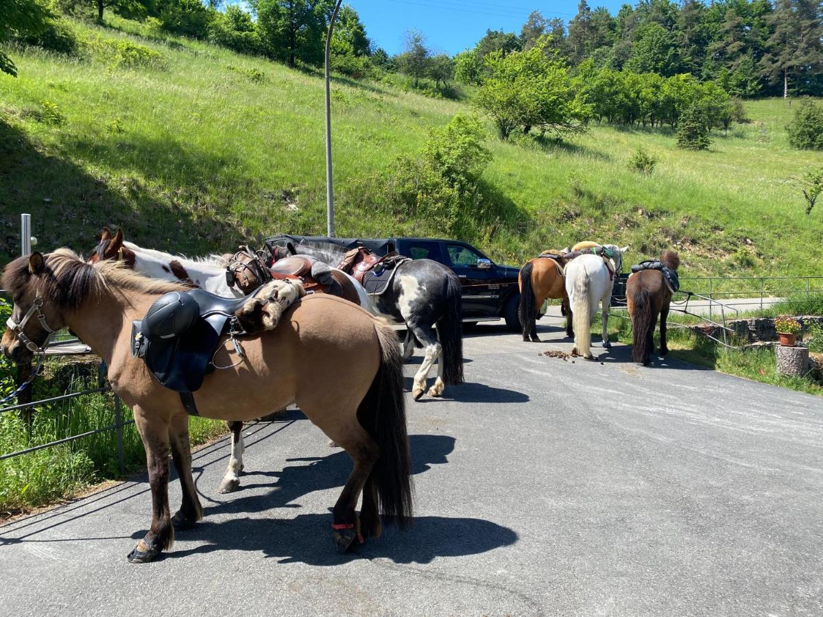 Appartamento Gasthof Zur Sagemuhle Hiltpoltstein Esterno foto