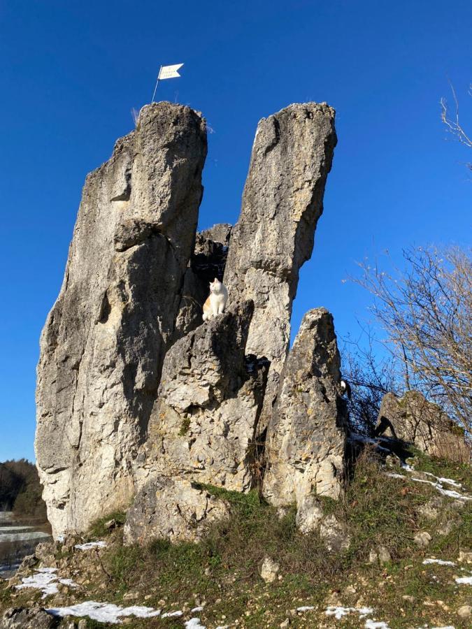 Appartamento Gasthof Zur Saegemuehle Hiltpoltstein Esterno foto