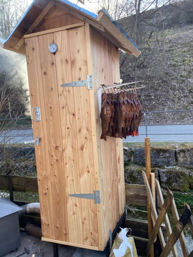 Appartamento Gasthof Zur Saegemuehle Hiltpoltstein Esterno foto