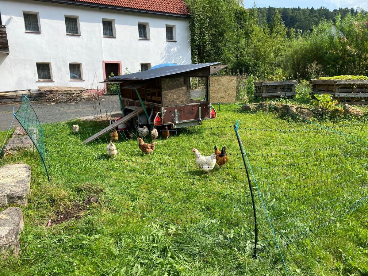 Appartamento Gasthof Zur Saegemuehle Hiltpoltstein Esterno foto